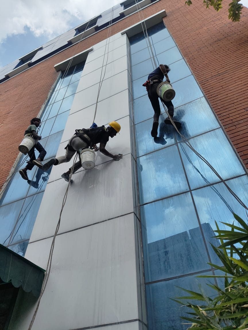 Rope-access technicians cleaning a high-rise glass facade